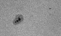 2025-09-20-0830_0-U-L-Sun_lapl5_ap2126_2.jpg