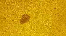 2025-09-20-0830_0-U-L-Sun_lapl5_ap2126_colour.jpg