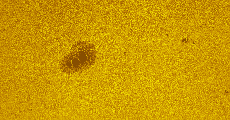 2025-09-20-0844_2-U-L-Sun_lapl5_ap2164_colour.jpg