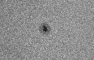 2025-09-21-0802_5-U-L-Sun_lapl5_ap2234.jpg