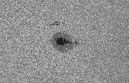2025-09-21-0805_2-U-L-Sun_lapl5_ap2313.jpg