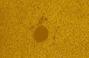2026-03-16-0954_0-U-L-Sun_lapl3_ap7422_colour