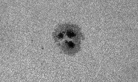 2026-07-26-1045_7-U-L-Sun_lapl3_ap3175.jpg
