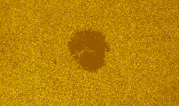 2026-07-26-1045_7-U-L-Sun_lapl3_ap3175_colour.jpg