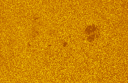 2026-08-01-0831_9-U-L-Sun_lapl3_ap3524_colour.jpg