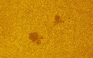 2026-08-04-0751_1-U-L-Sun_lapl3_ap3524_colour.jpg