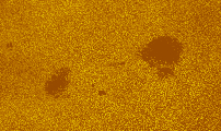 2026-08-15-0801_1-U-L-Sun_lapl3_ap3431_colour.jpg