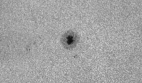 2026-08-16-0821_6-U-L-Sun_lapl3_ap3446.jpg