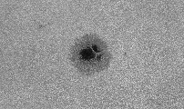 2026-09-09-0845_1-U-L-Sun_lapl3_ap3379