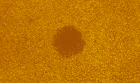 2026-09-09-0845_1-U-L-Sun_lapl3_ap3379_colour