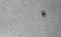 2026-09-09-0907_1-U-L-Sun_lapl3_ap3270