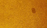 2026-09-09-0907_1-U-L-Sun_lapl3_ap3270_colour