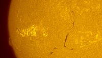 2026-08-22_AR4513