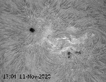 Sun H-alpha  2020-11-08 12:04-12:15 animation bw