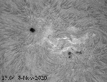 Sun H-alpha  2020-11-08 12:04-12:15 animation bw_