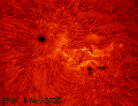Sun H-alpha  2020-11-08 12:04-12:15 animation colour_