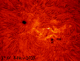 Sun H-alpha 2020-11-08 12:04-12:15 animation colour_