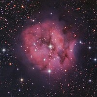 IC5146