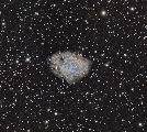 M1