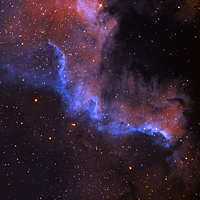 NGC 7000 Туманность