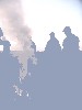 Последнее средство от комаров